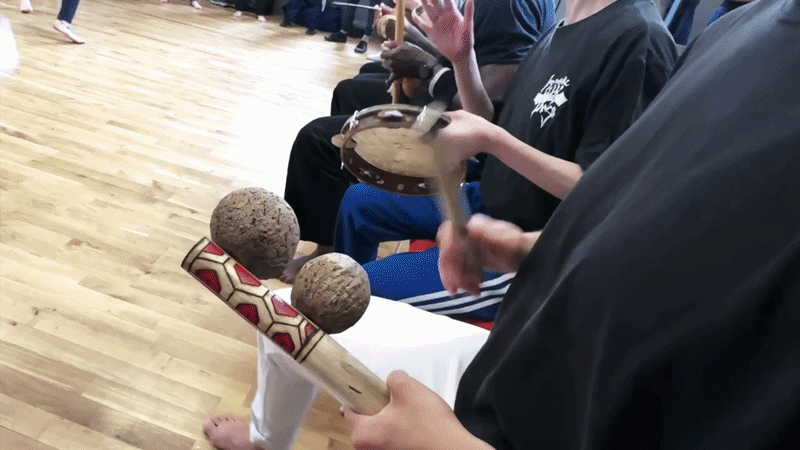 Capoeira movement training